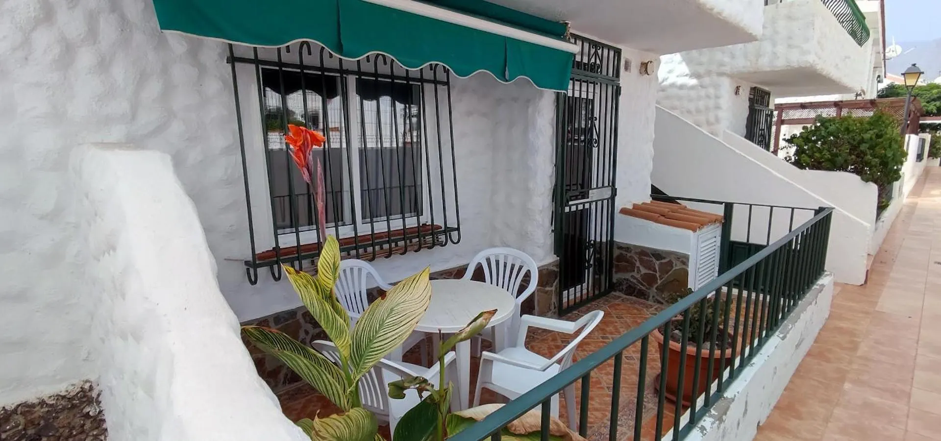 Bungalo Palo Blanco With Ocean View Apartment Costa Adeje  Spain